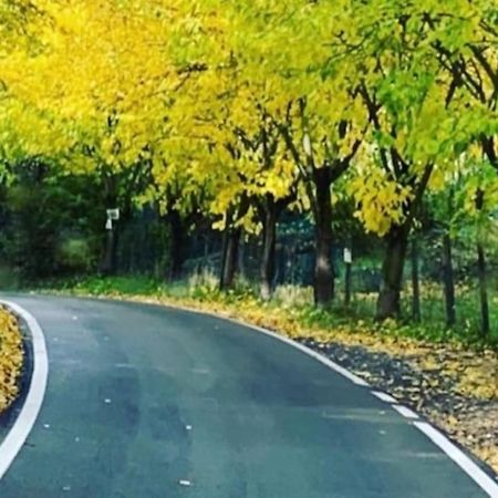 Cottage Sui Colli Bolognesi المظهر الخارجي الصورة