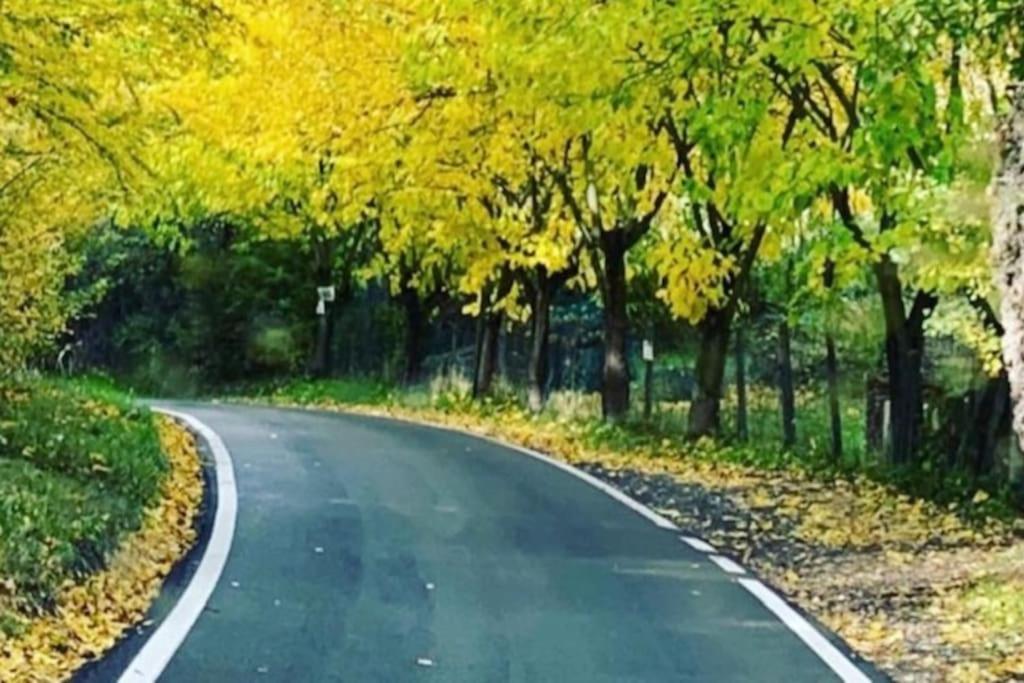 Cottage Sui Colli Bolognesi المظهر الخارجي الصورة